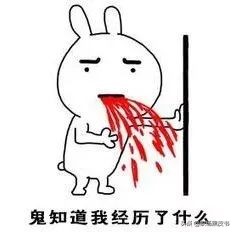 刘雯新秀丽行李箱,超模刘雯写真大全