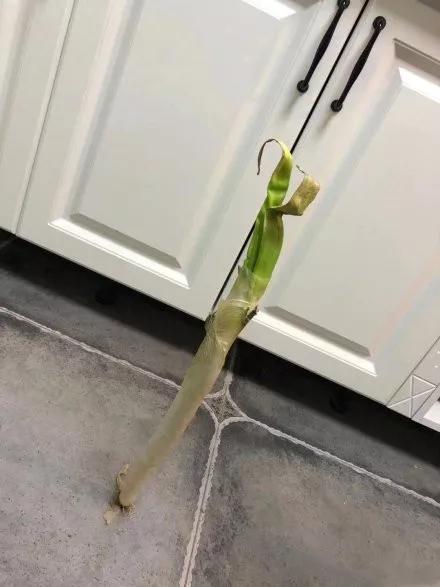 宜宾疫情难熬的日子,宜宾疫情隔离生活