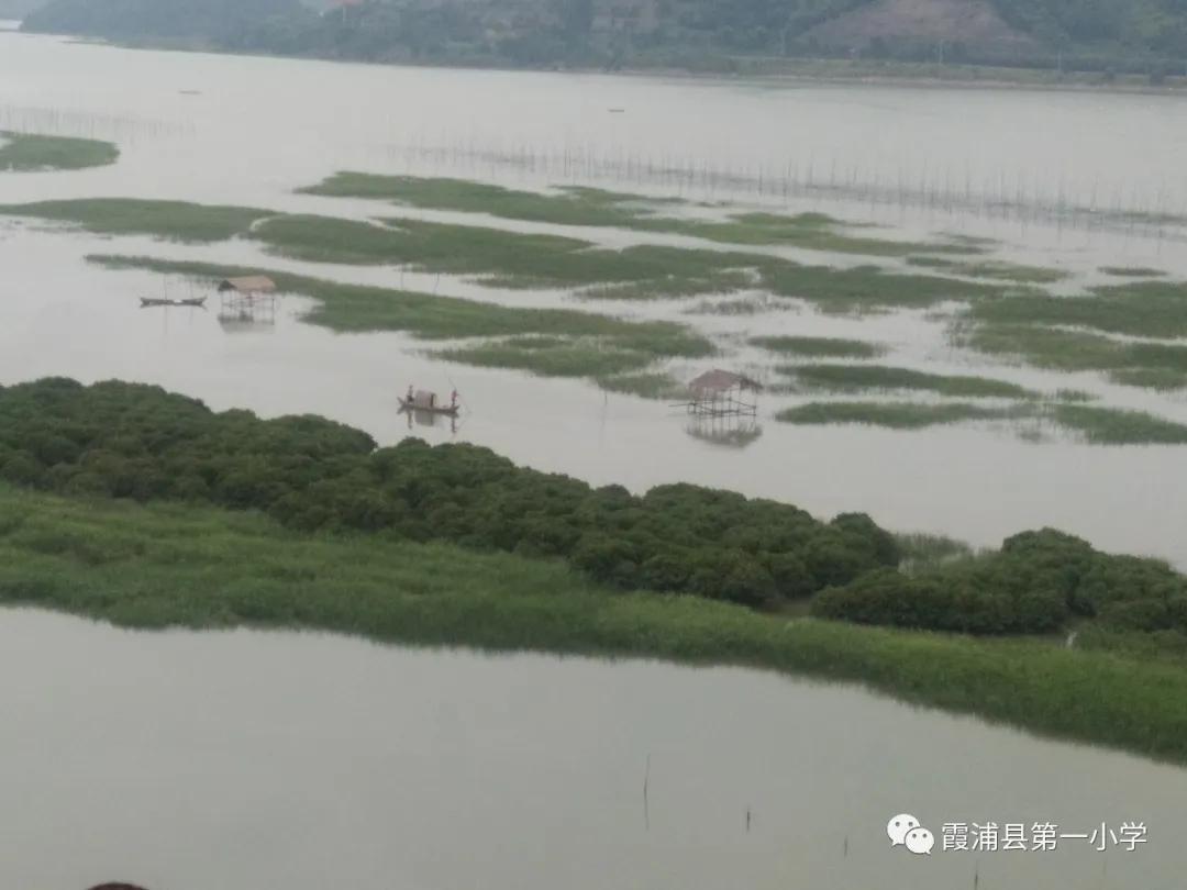 霞浦一中高一新生夏令营,霞浦县夏令营