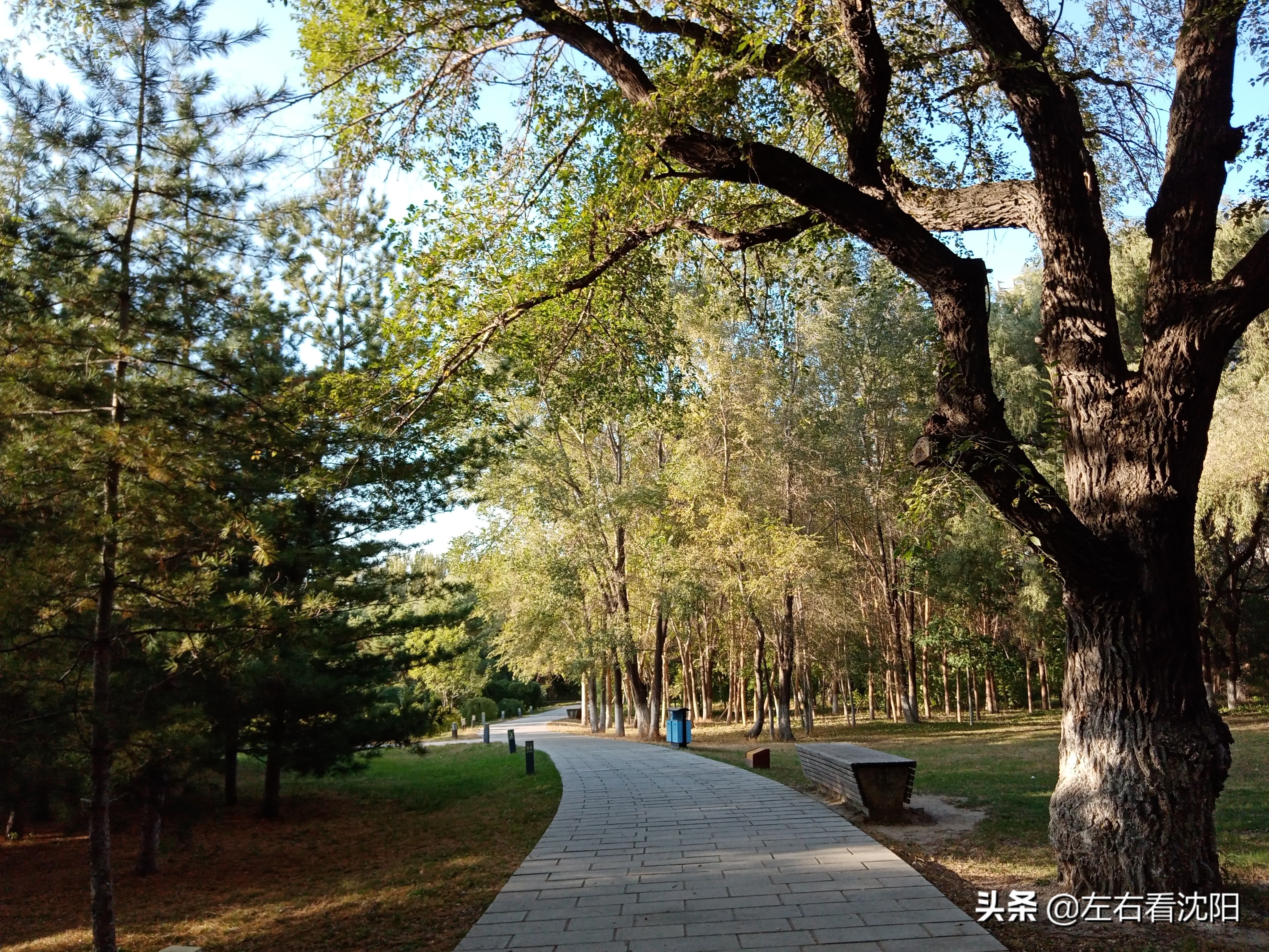 沈阳沈水湾公园看日出,沈阳浑河看海的地方