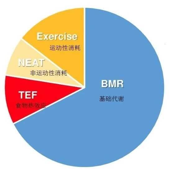 魔芋挂面可以减肥吗,紫薯魔芋代餐减肥吗