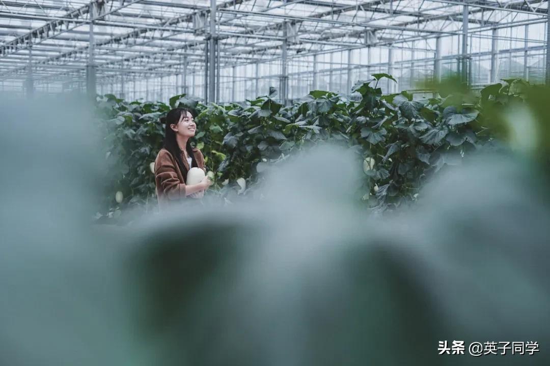 南昌这家高科技田园，1000亩菜地，星空房车，亲子采摘……