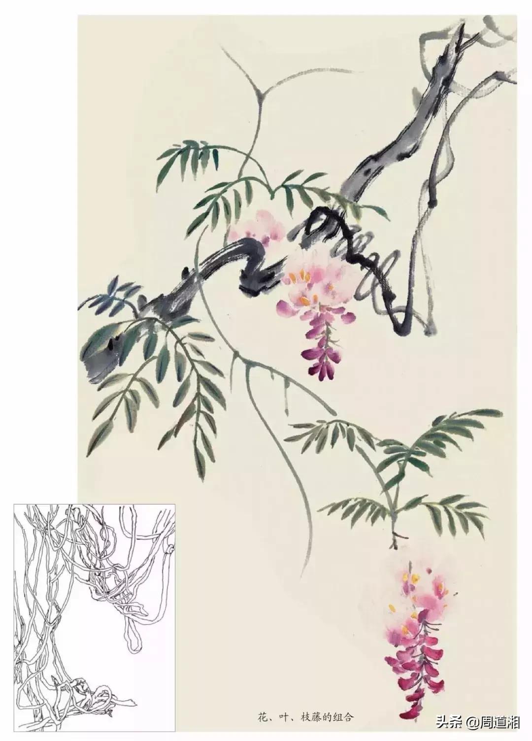 国画花卉大全教程视频,花卉小品国画图片大全