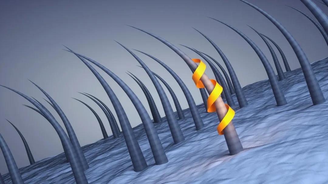 如何拯救断掉的头发,头发大把掉落的原因