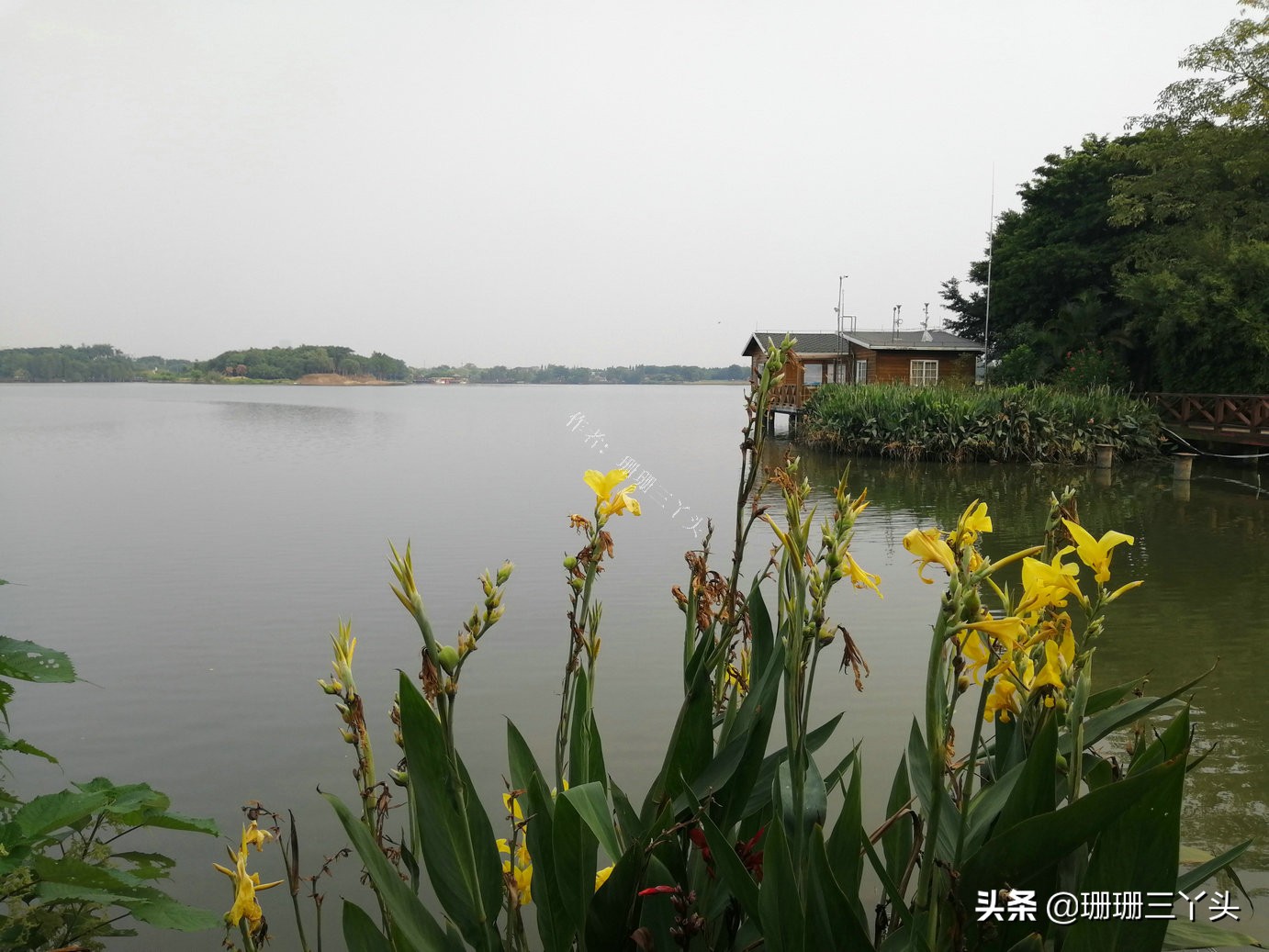 广州湿地公园推荐,广州龙潭河湿地公园