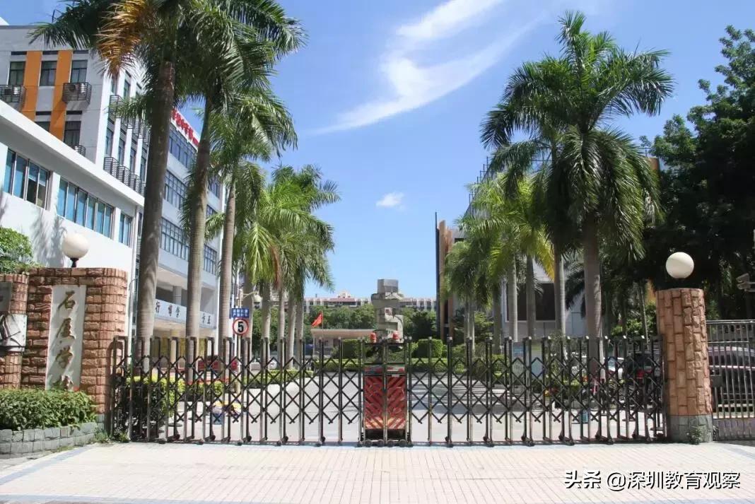 深圳福田小学与南园小学哪个好,深圳八一小学