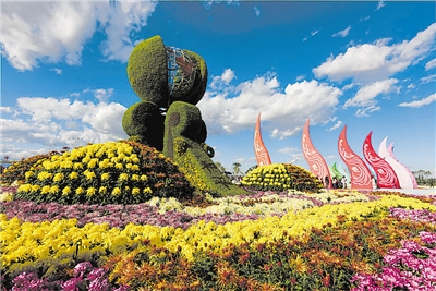 金凤城市中心核心区范围,金凤区新城片区发展