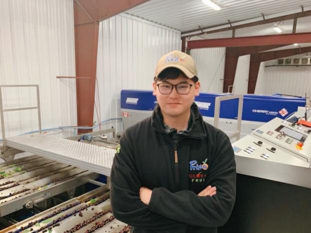 天猫双11新角色,天猫双11计划