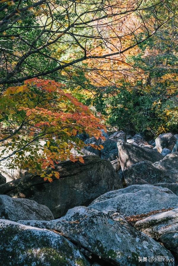 韩国旅游不可错过的景点,韩国不能错过的3部电影