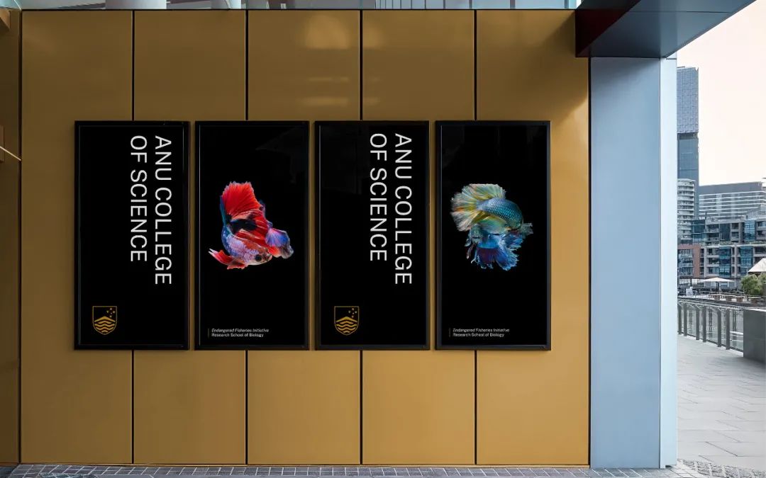 五角最新为泰国健康饮料品牌设计品牌标识和包装