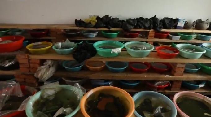 古墓宝藏之谜,墓室之谜完整版