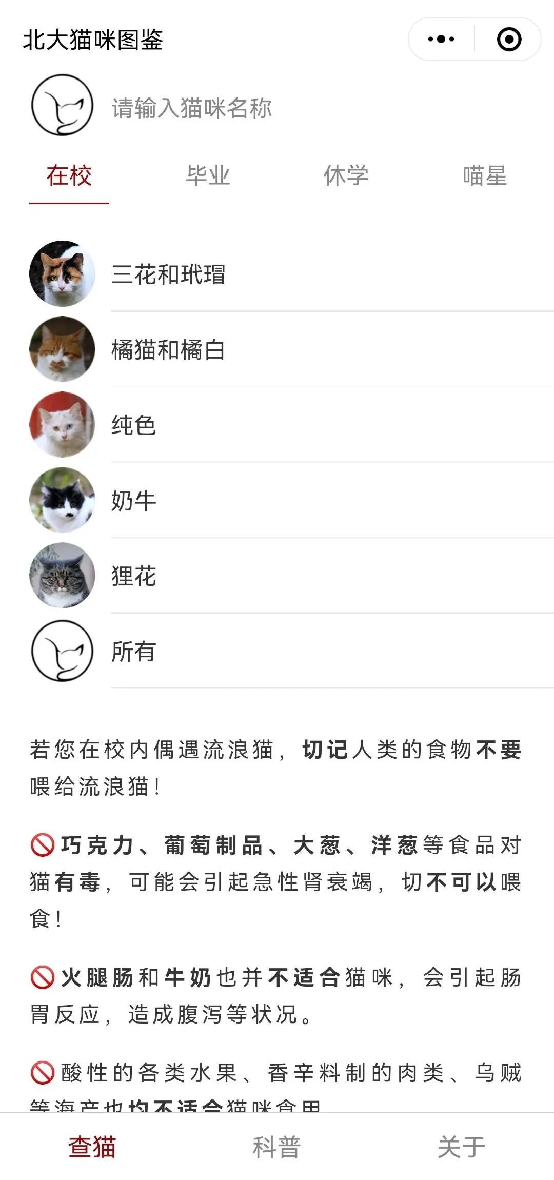 我为什么劝你别学医,在宿舍养猫很后悔