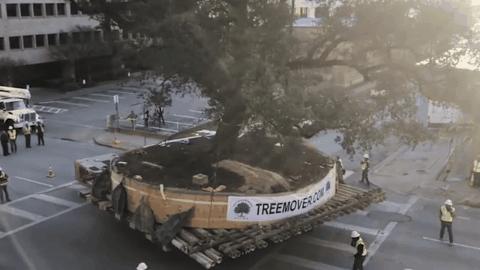 十大实用机械工具,看看几款超实用的机械工具