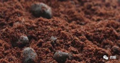 麝香酒假的会死窝吗,麝香如何炮制麝香酒