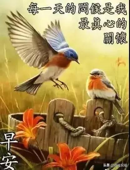 早上好图片带字逗人开心表情包,最新的精美的优雅的早上好表情包