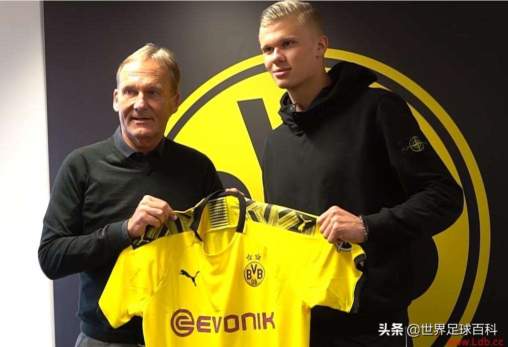 挪威新星哈兰德,挪威小将哈兰德厄德高