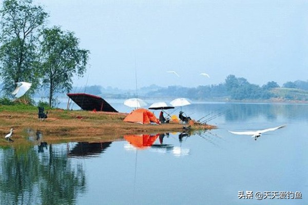 钓大物技巧视频,冬季野钓取物技巧口诀