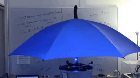 把车标全部抠掉违法吗,把车标抠下来清灰