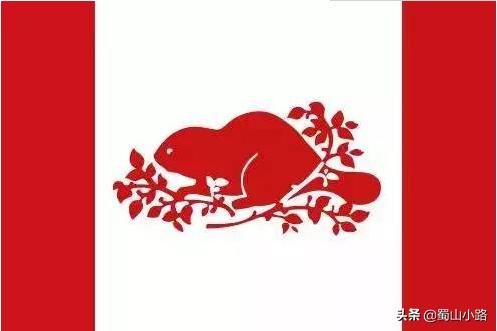 2021年度十大关键词晚舟归航,晚舟加拿大品牌