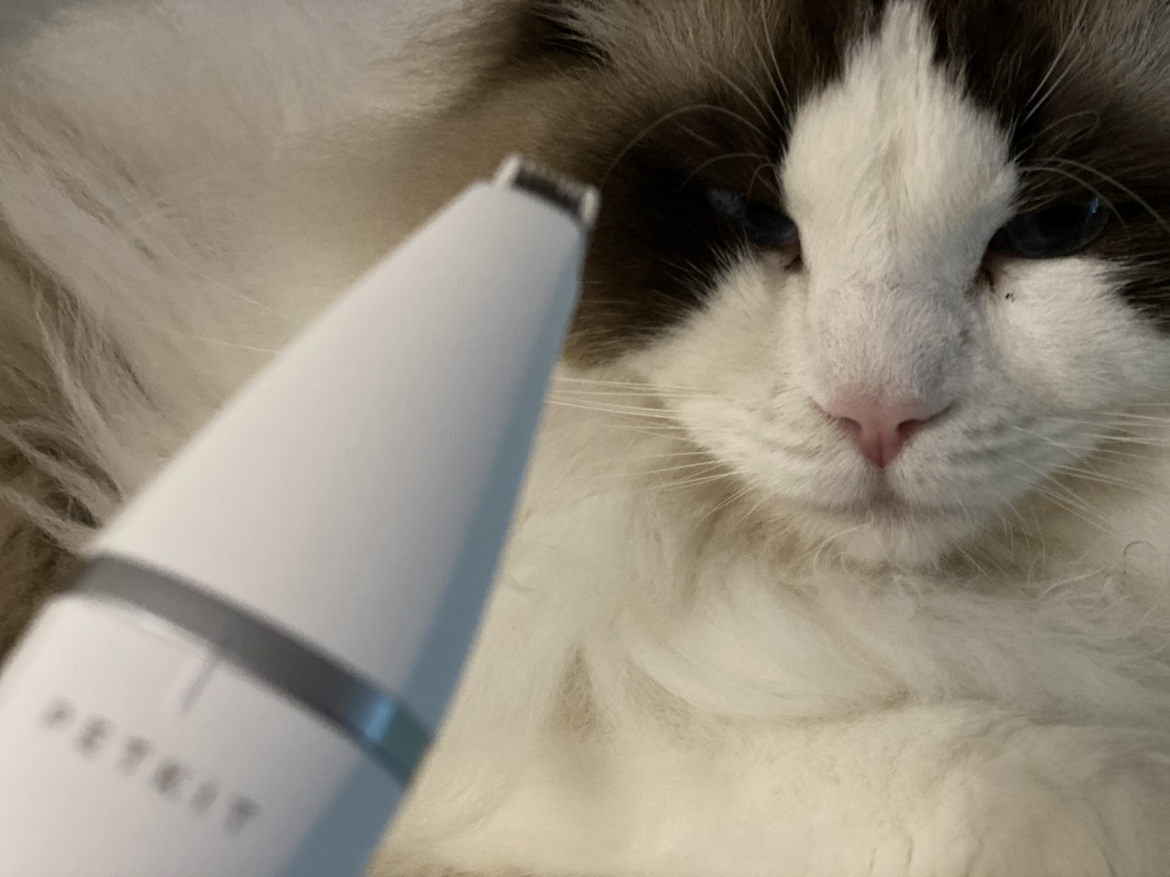 无显示屏无网线怎么查树莓派的ip,未开放80端口能上网吗