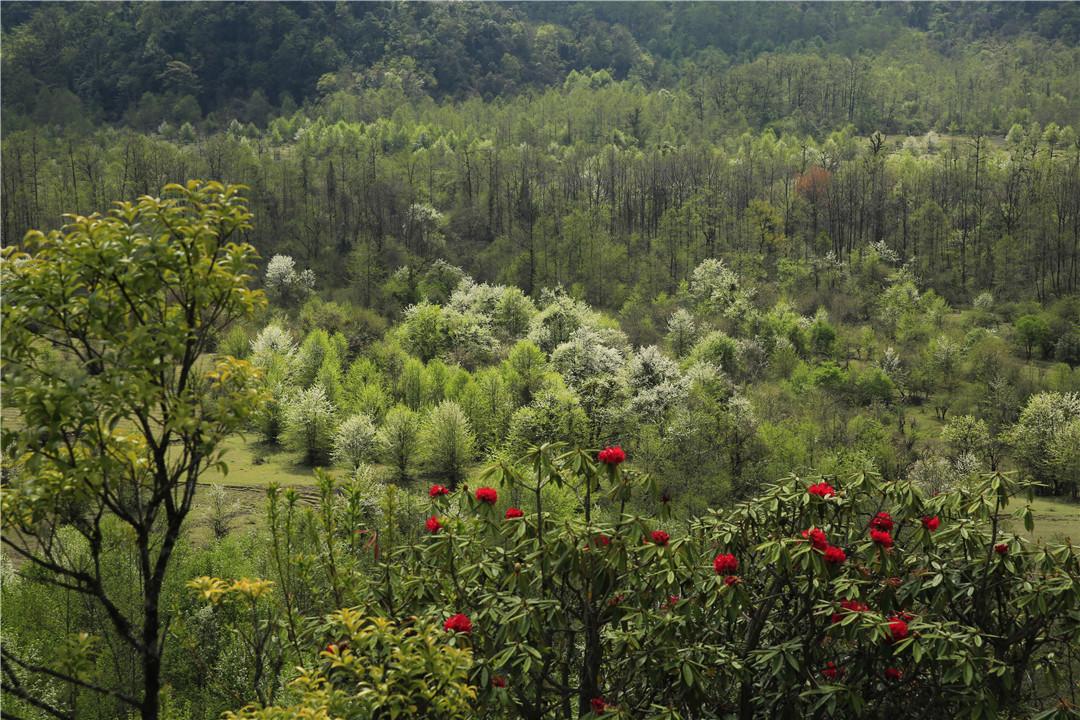 腾冲精品旅游,魅力腾冲旅游