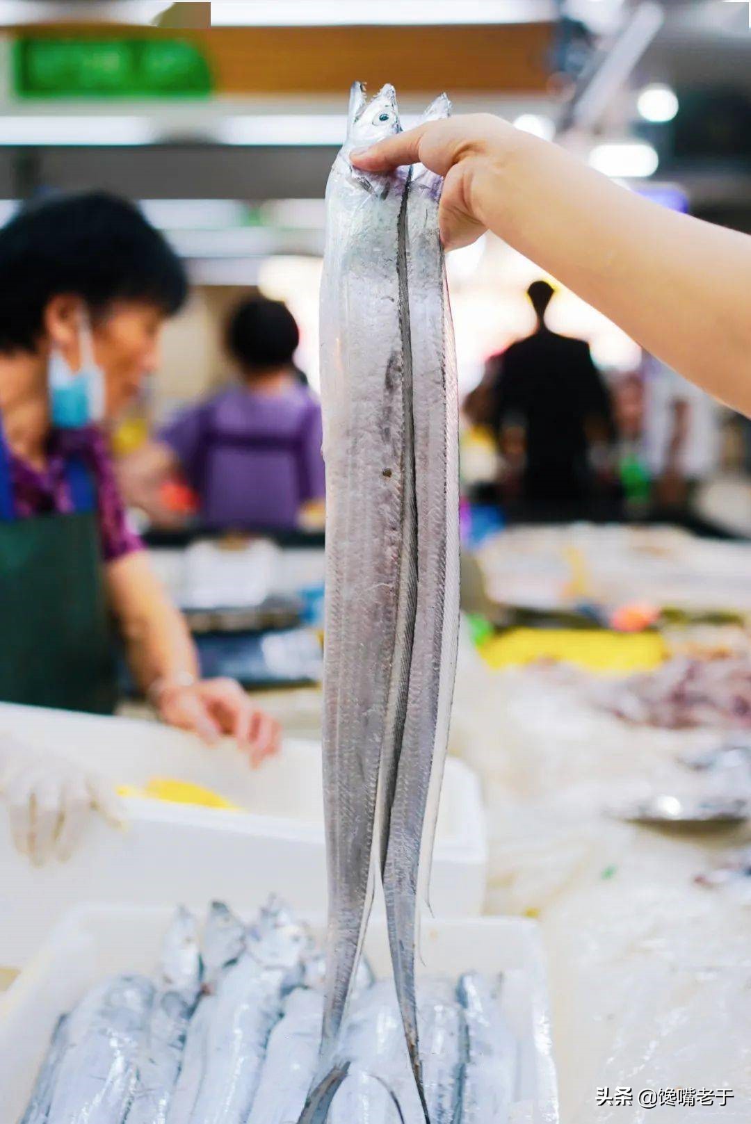 带鱼为什么是深海鱼却那么便宜,带鱼为什么只在深海里才能活