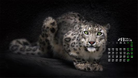 ps培训怎么学,哪里有ps培训机构