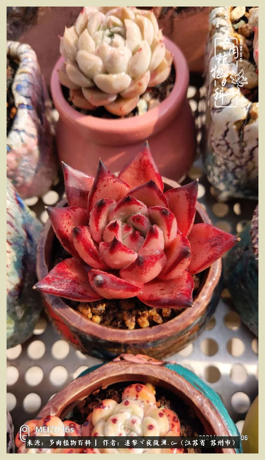 秋尽冬来岁月不居时节如流,岁月不居时节如流水