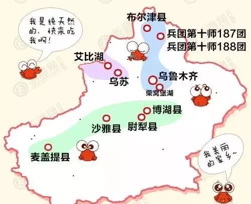 盘点十大新疆的特产,疆藏特产