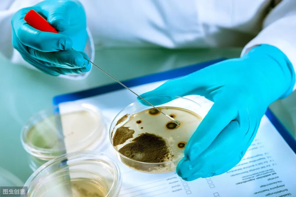 冰箱断电食物发臭如何除臭味,冰箱发臭一进门就闻得到怎么办