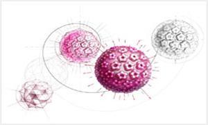 hpv阳性还能打9价疫苗吗,HPV阳性还可以打疫苗吗