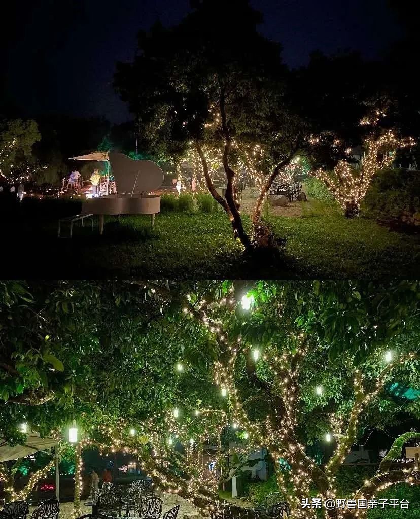 广州遛娃旅游推荐路线攻略,广州遛娃清单升级版