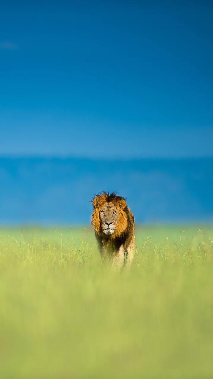 十几年运气都不好怎么办,连着一段时间很倒霉怎么办