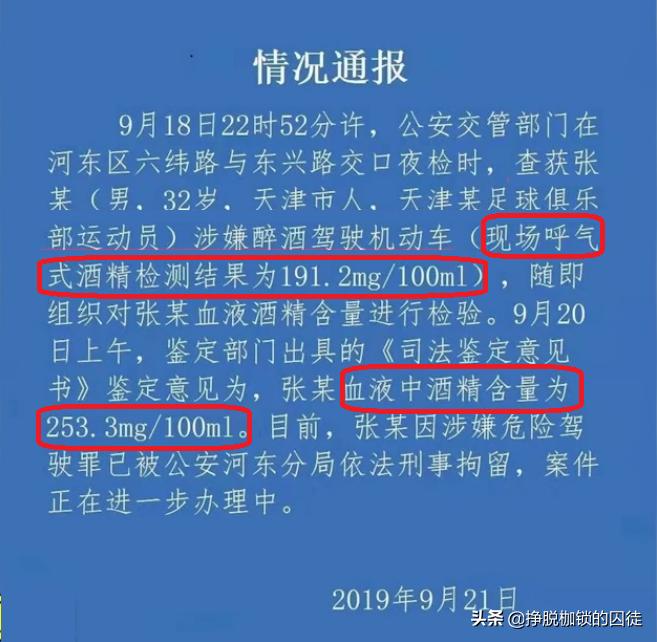 张鹭阿根廷,张鹭十大失误