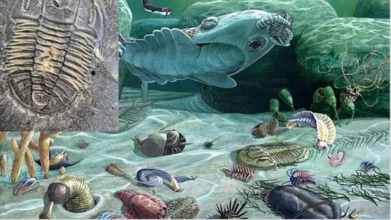 谷歌废弃微服务,谷歌微服务2.0