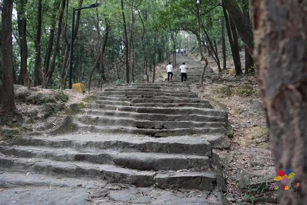 遇见狮岭真实视频,遇见狮子京剧