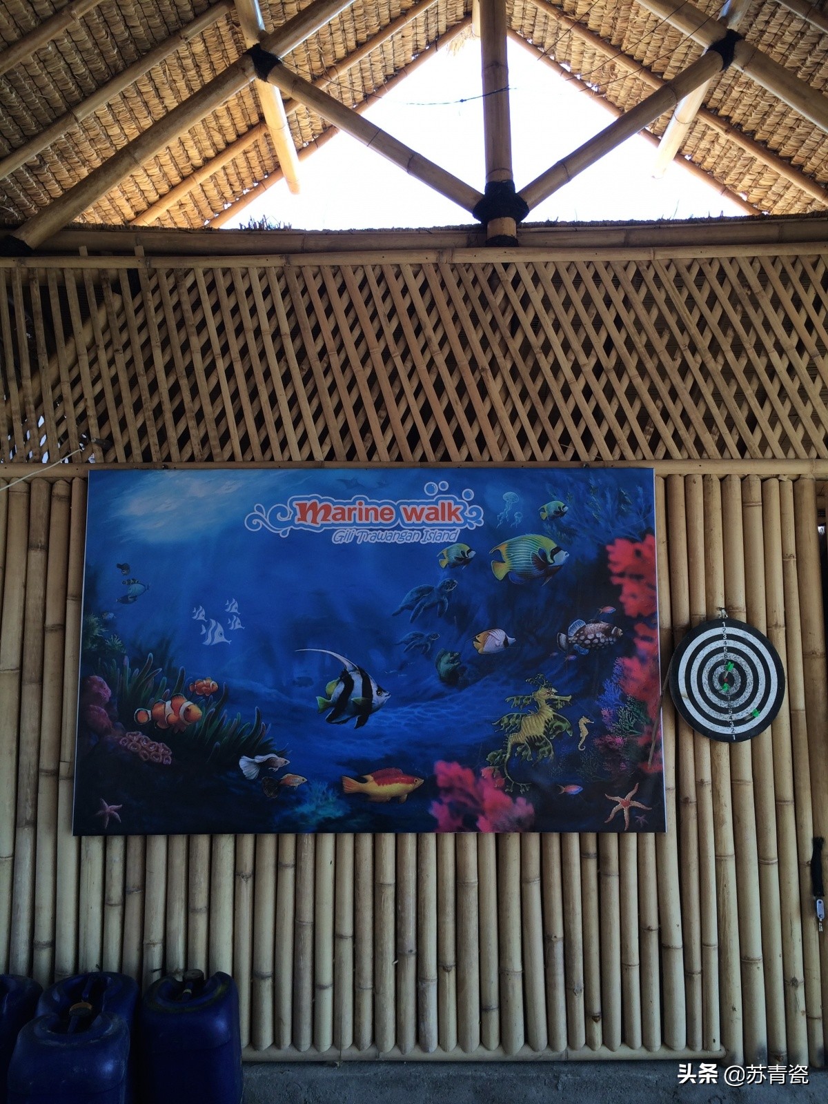 七天游玩被骗,7天行程3次被骗