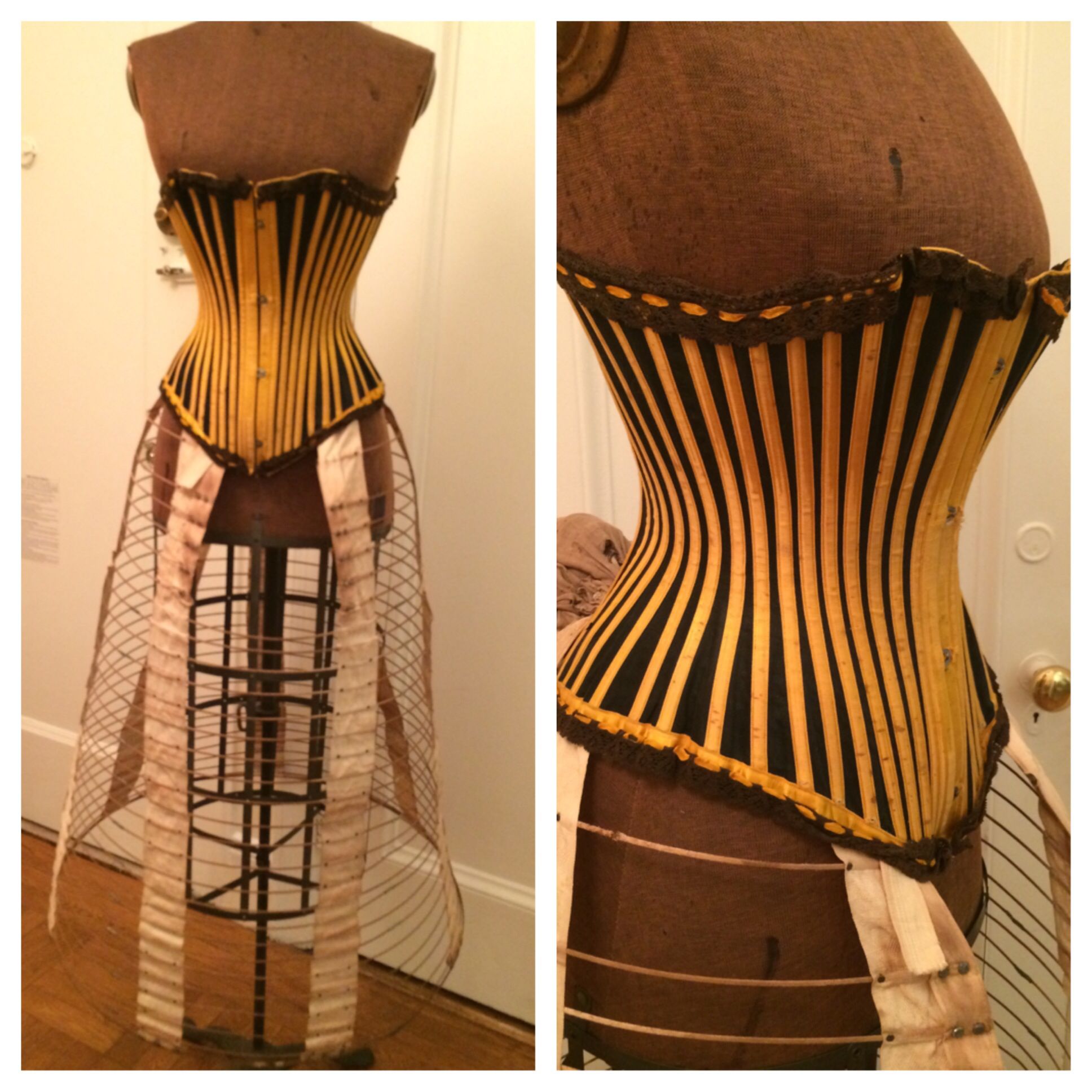 又是角蛋白，人类明明自己有，为什么对动物的角蛋白念念不忘？