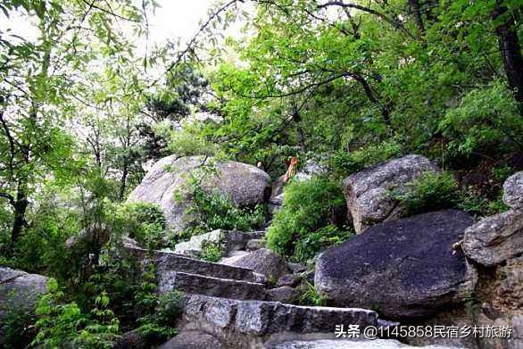 天津蓟县盘山口碑好的农家菜,来天津蓟县农家院