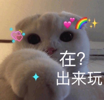 我只是个肥宅表情包,表情包我能插嘴吗