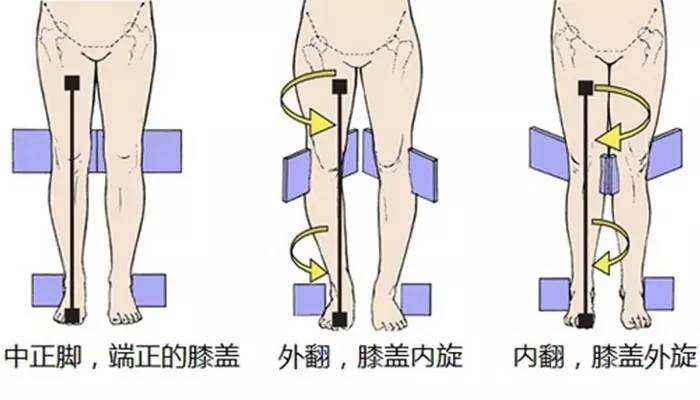 为什么女性的腿比男性的粗,女生什么样的腿型是标准的身材