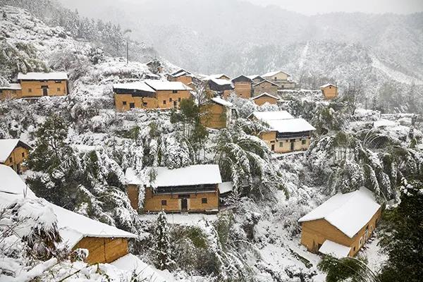 长三角城市群最佳旅游线路,长三角示范区旅游详细攻略