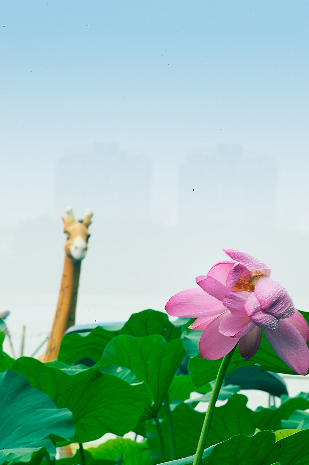 关于二手设备的问题,关于二手东西