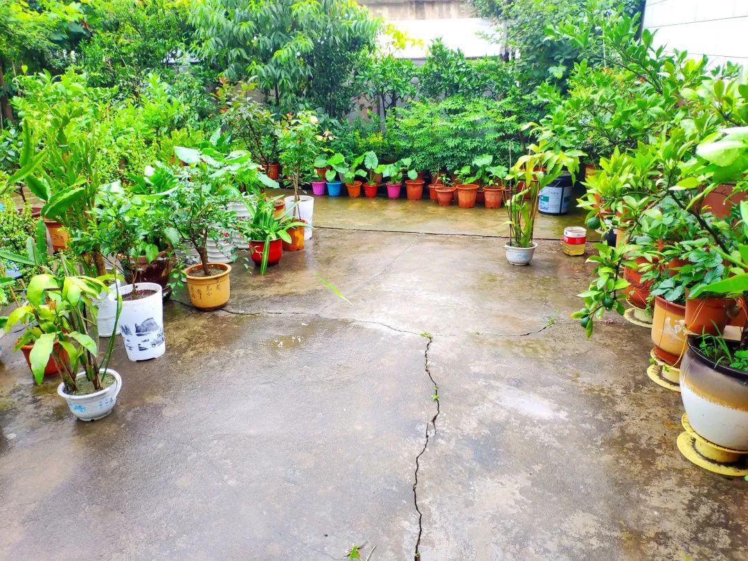 风景好的地方江阴,江阴好风景