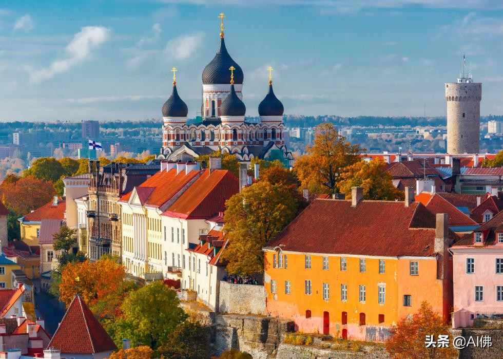 世界上人均gdp最高的国家排行,国家哪个地级市的人均gdp最高