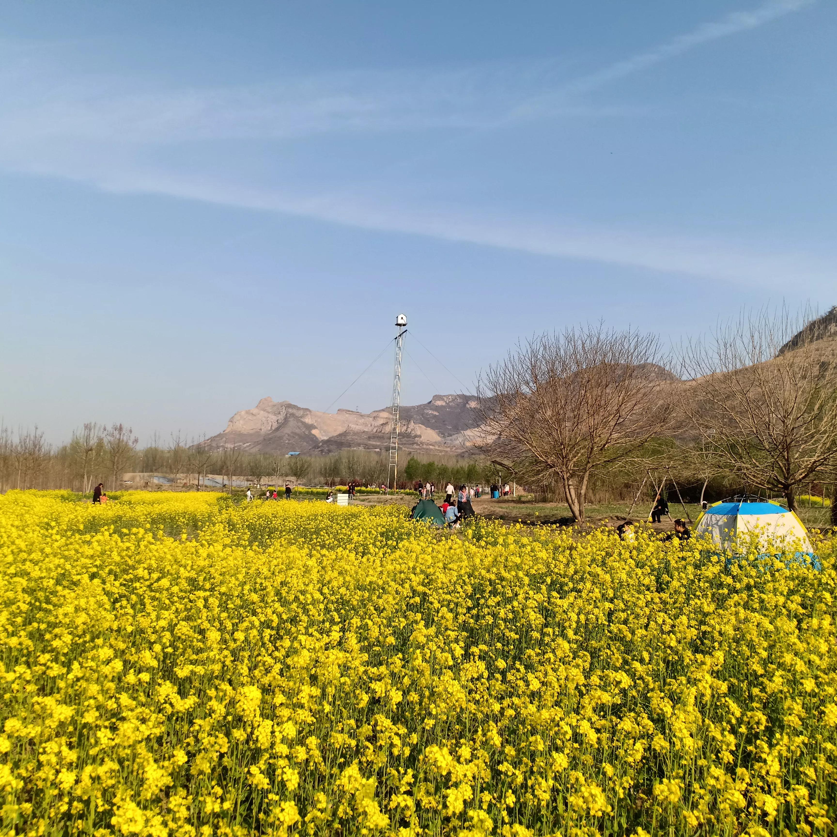 豌豆农庄周末去人多吗,豌豆农庄游玩攻略