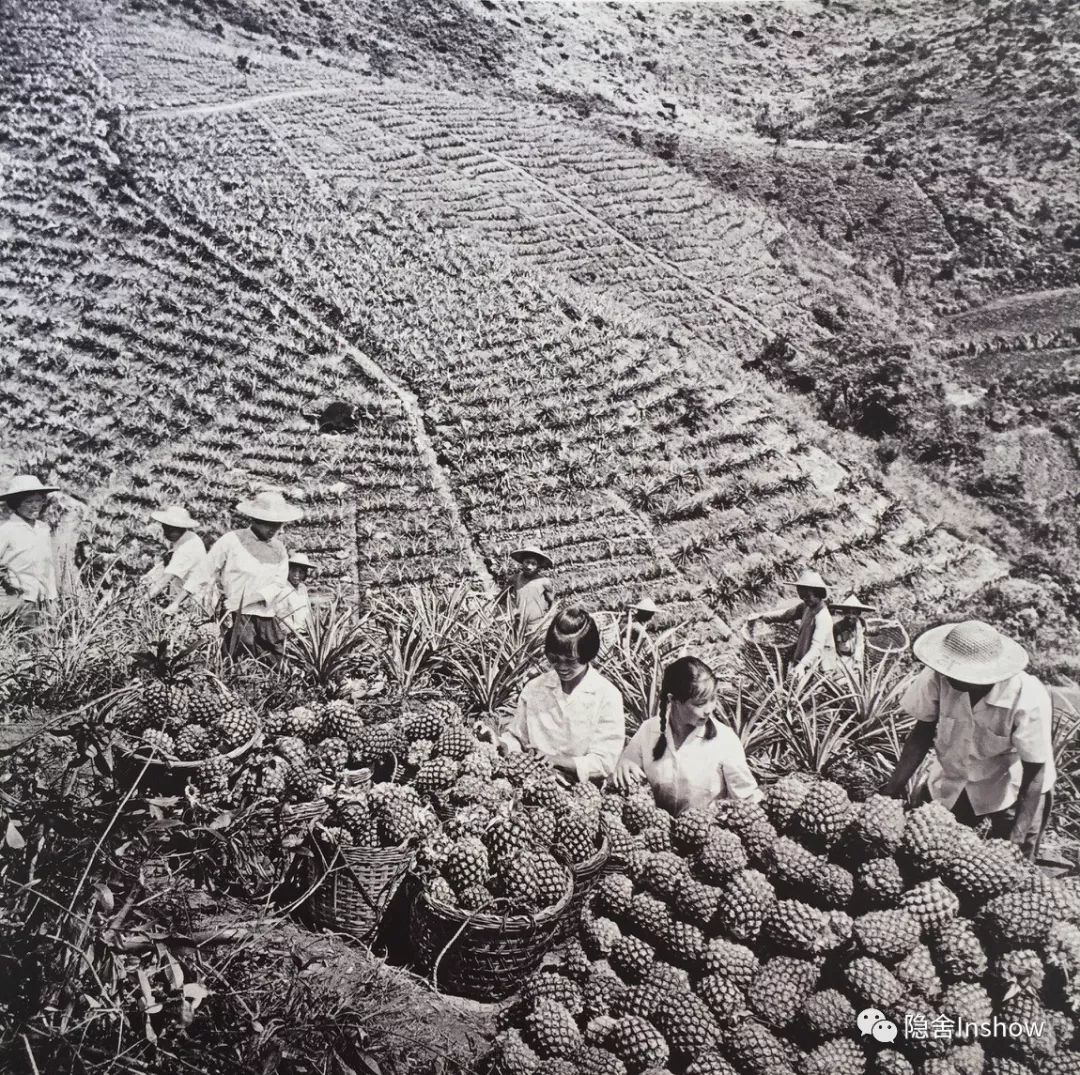 老海丰照片,七十年代的珍贵照片