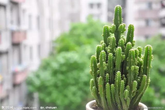 真假生活小常识,生活中常见的假常识