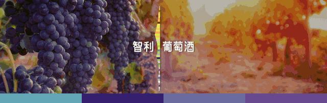 一瓶750毫升的葡萄酒需要多少葡萄,一瓶红酒需要多少斤葡萄酒