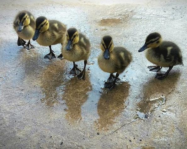怎样学习摄影拍照技术,学习拍照技术技巧